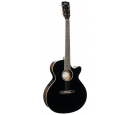 Exotic-SFX Ash (Black Gloss), зображення 1